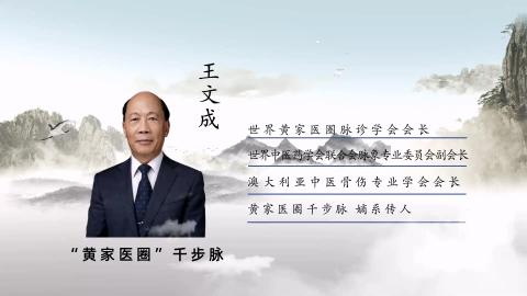王文成教授讲堂