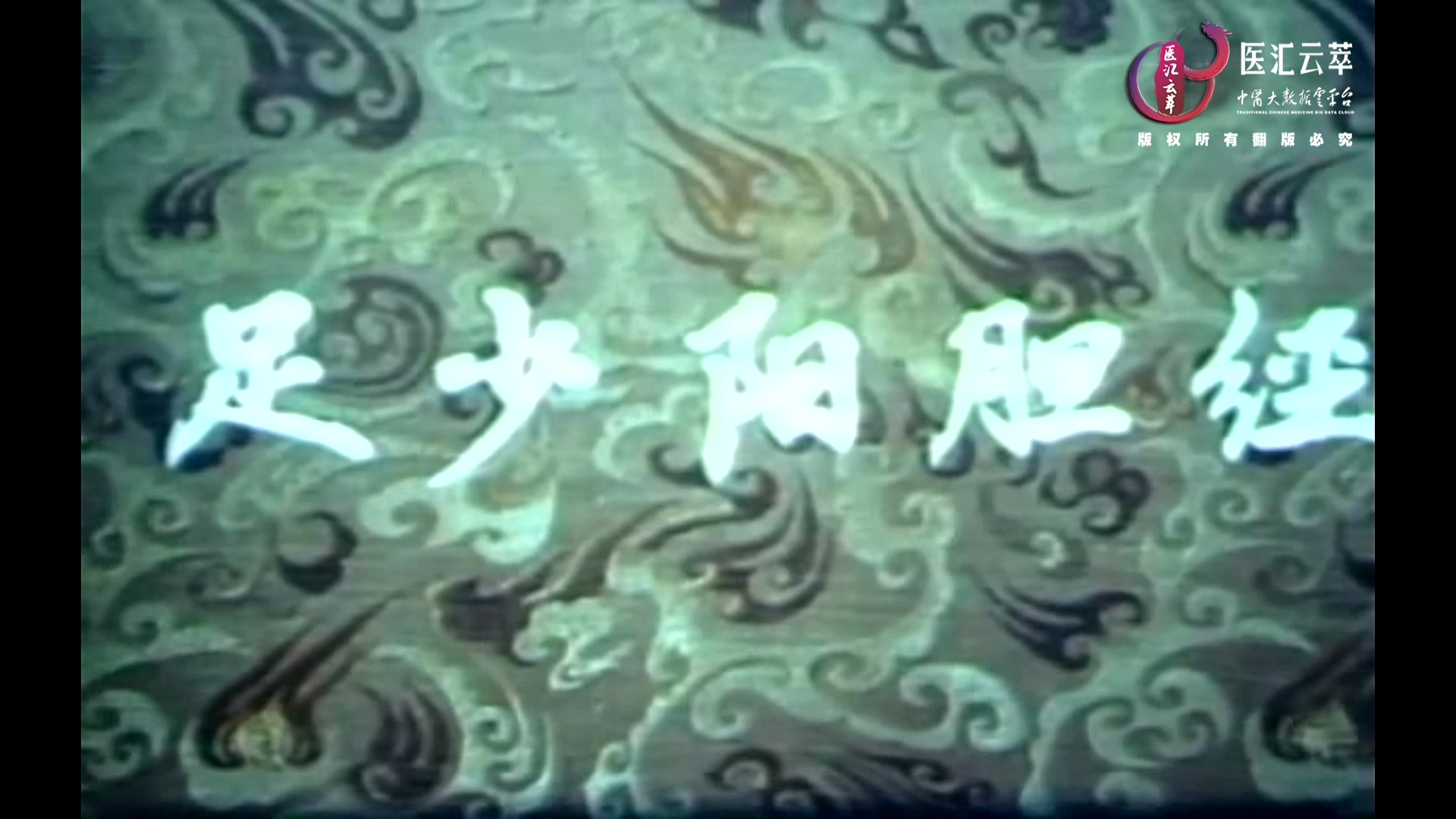 足少阳胆经(中文)