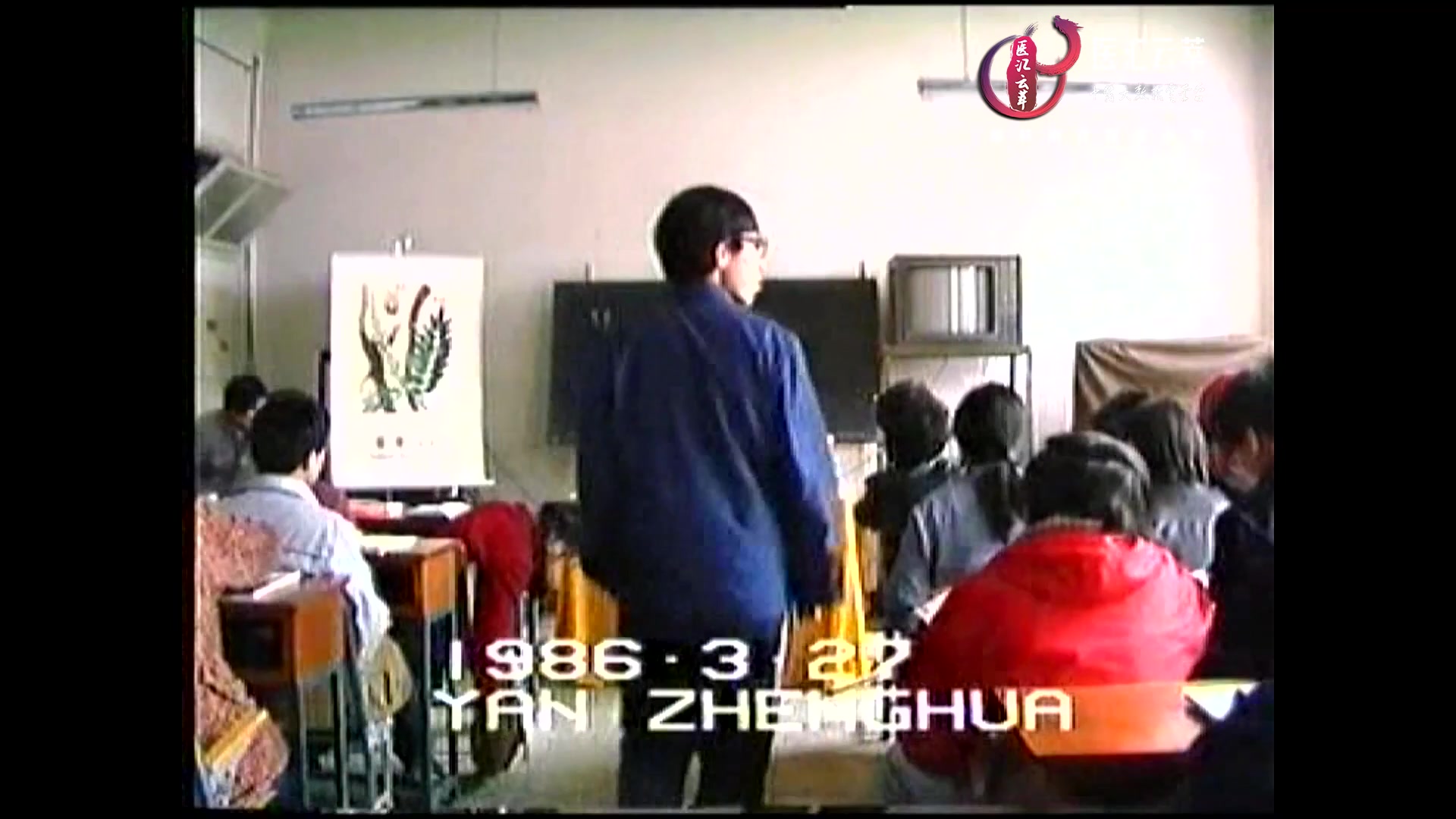 清热解表药(5)