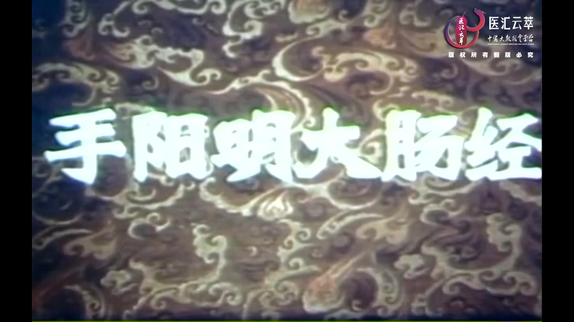 手阳明大肠经(英文)
