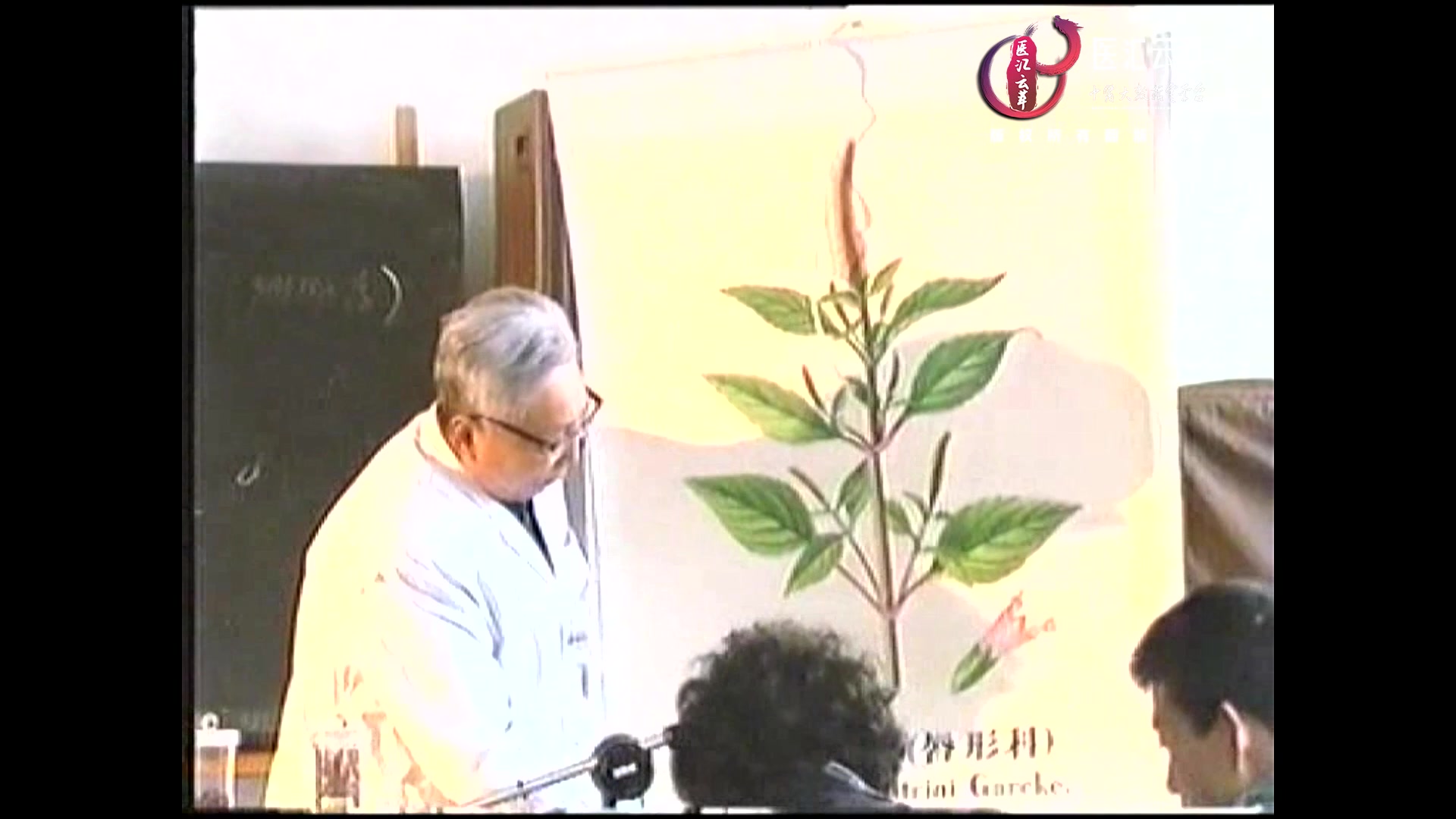 辛凉解表药(1)