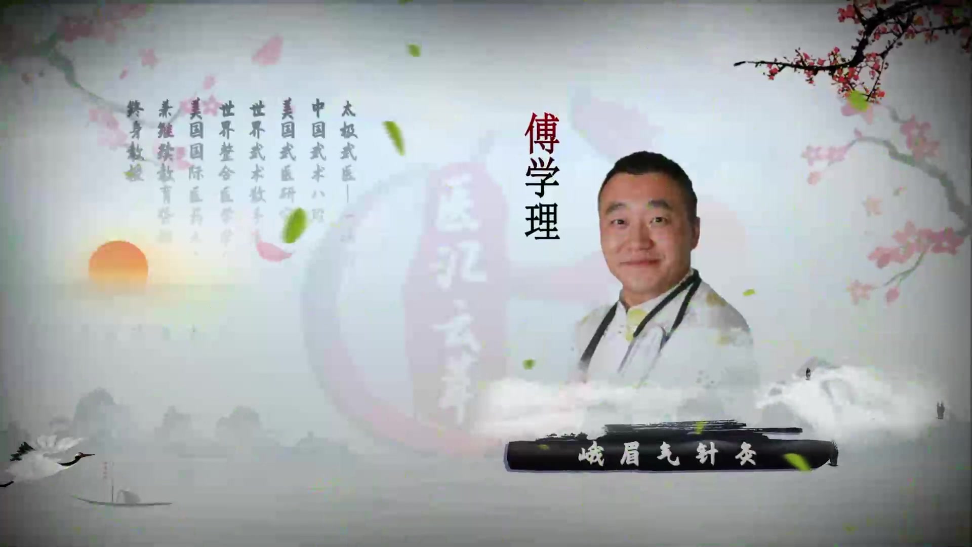 峨眉气针灸—上