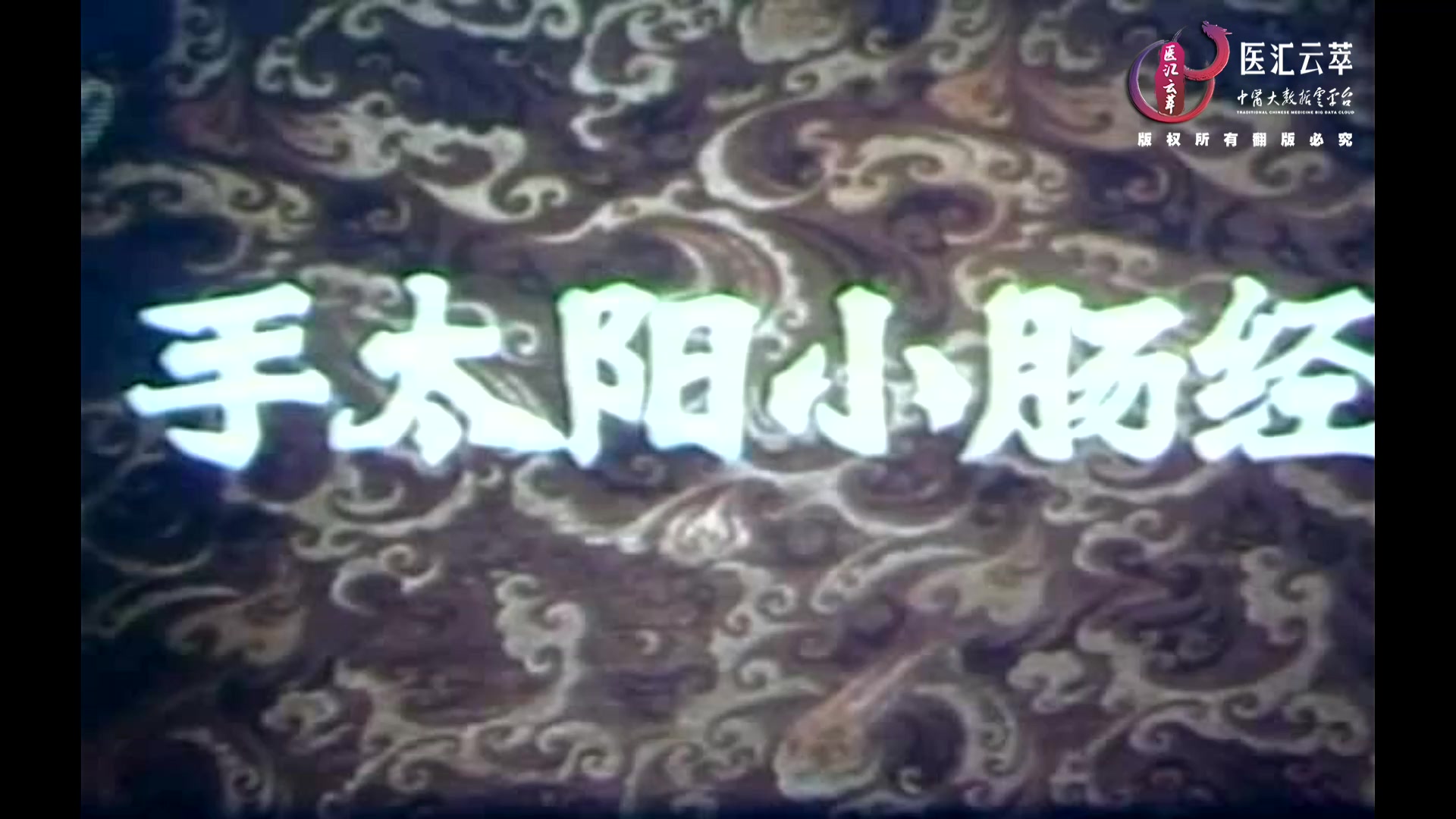 手太阳小肠经(中文)