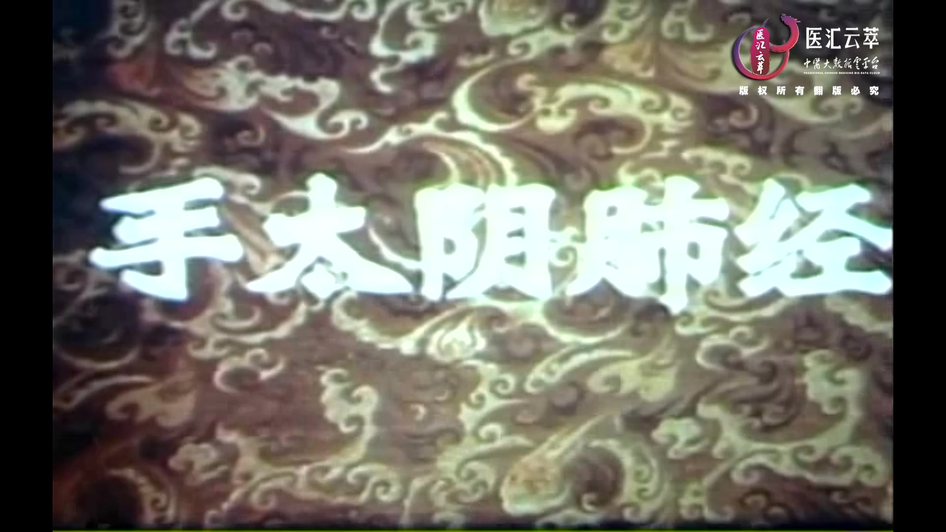 手太阴肺经(英文)