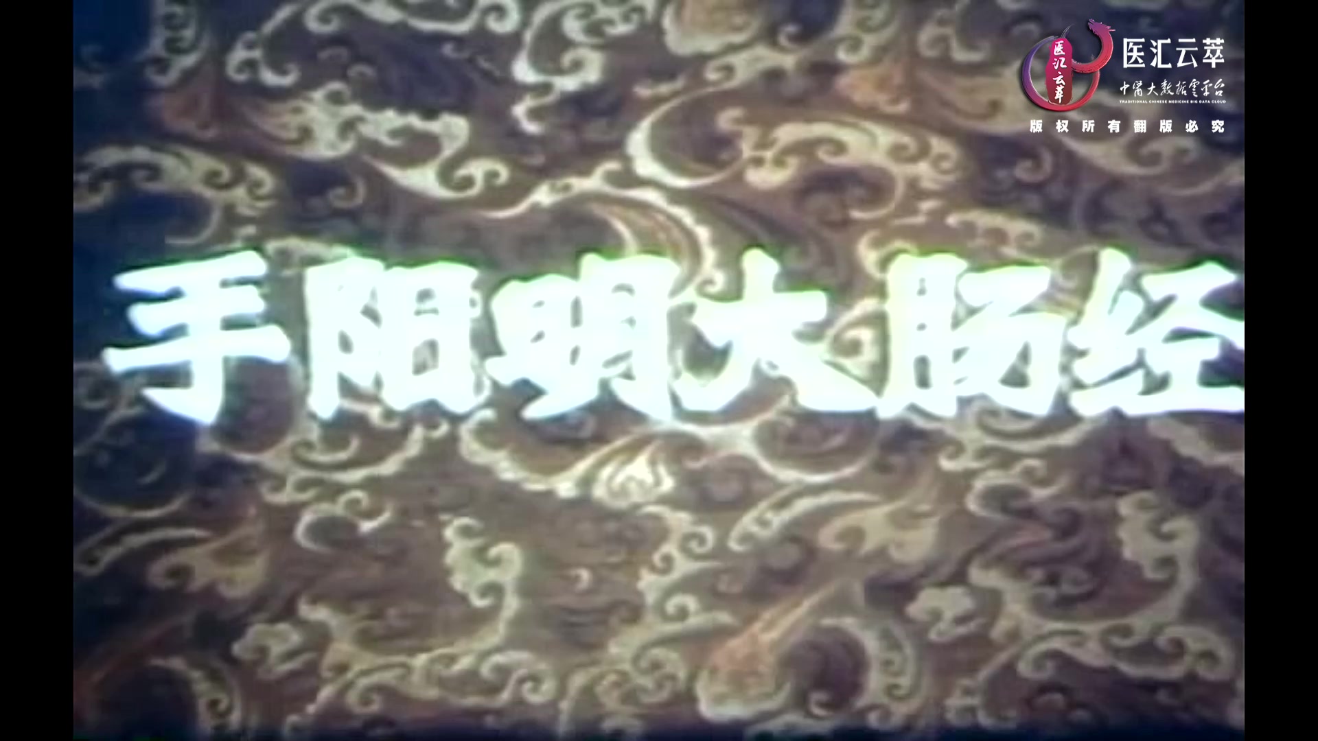 手阳明大肠经(中文)