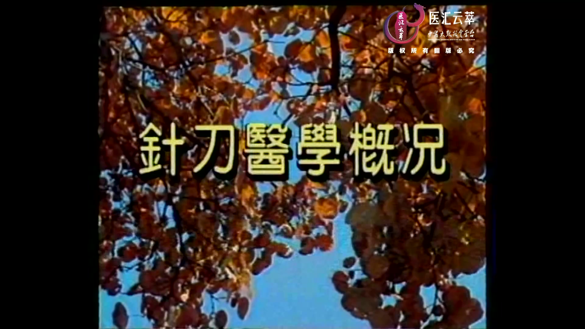 针刀医学总论
