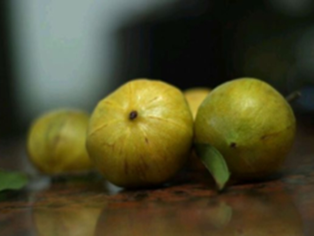 木竹子油
