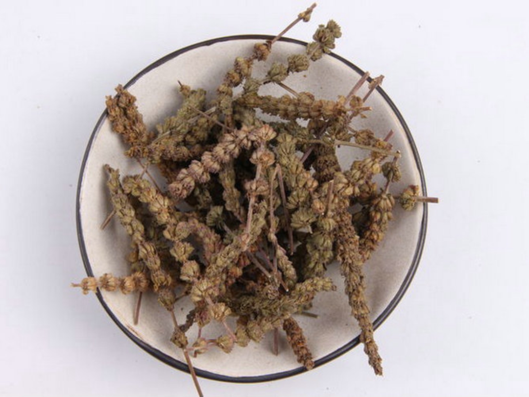 荆芥穗