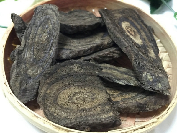 血风藤