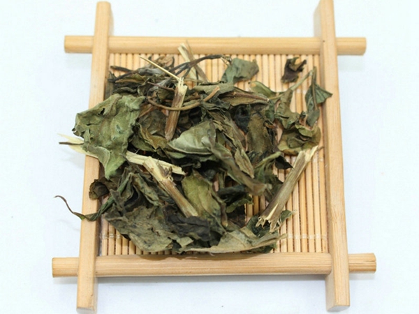 白鹤灵芝