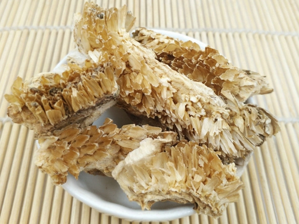 向日葵花盘