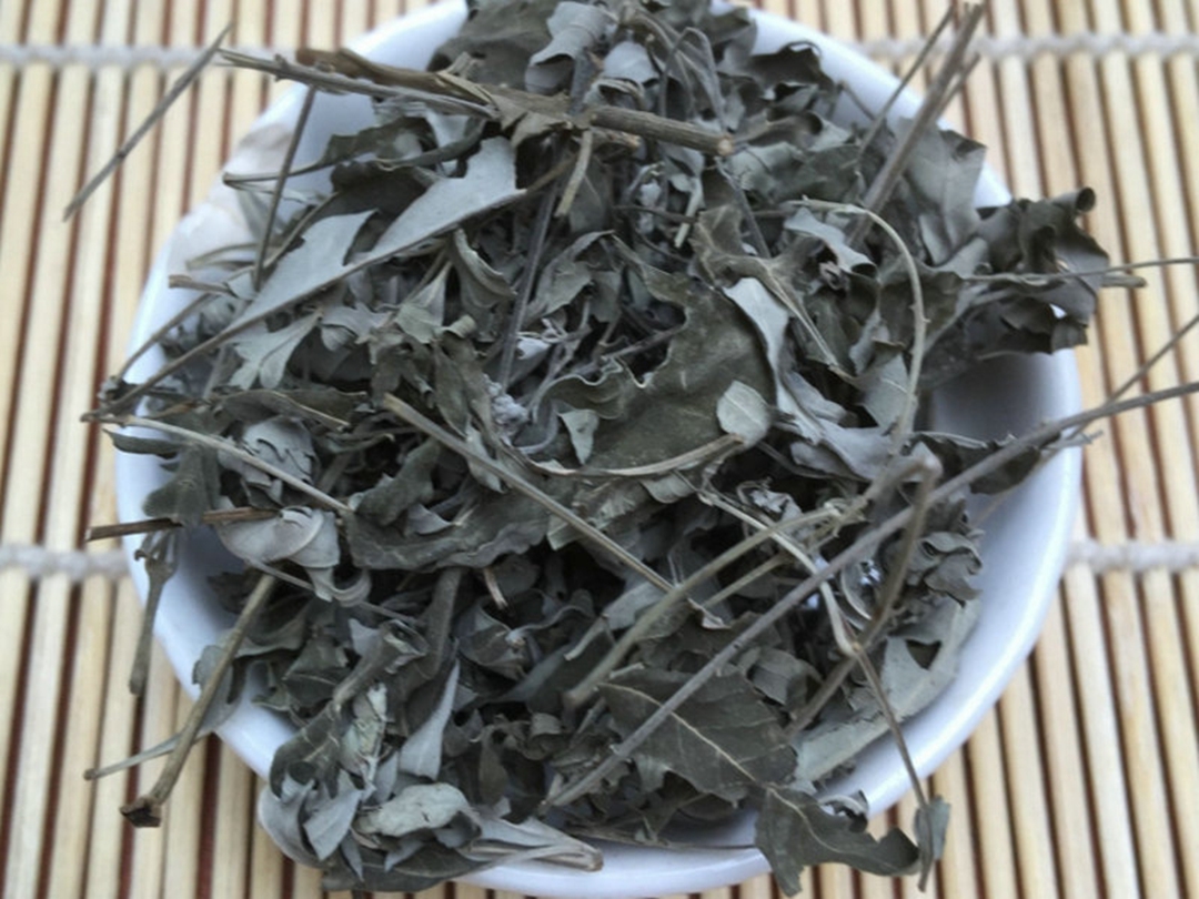 牡荆叶