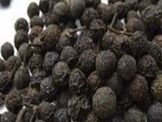四川澄茄子