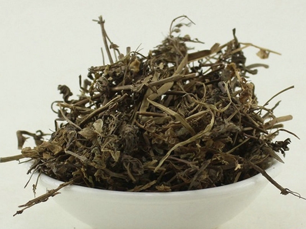 仙桃草