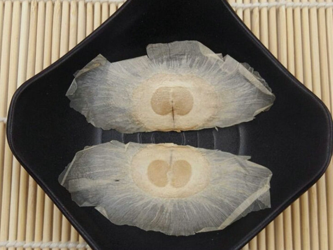 木蝴蝶