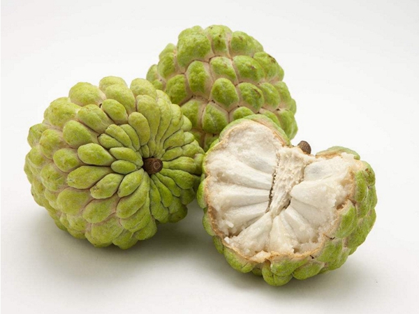 番荔枝