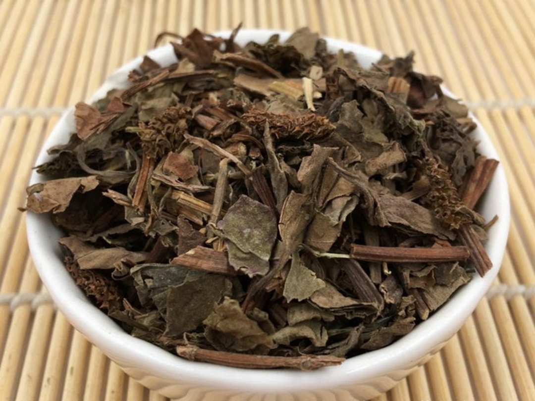 鱼腥草