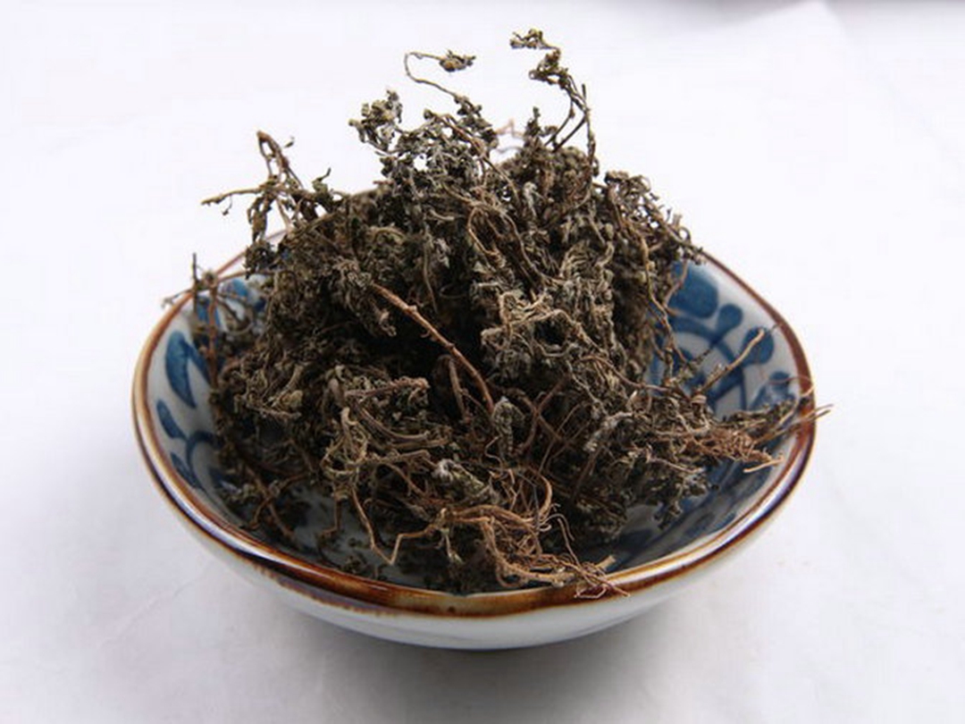 鹅不食草