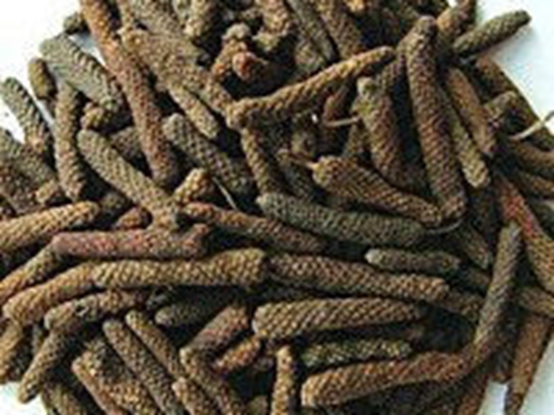 荜茇