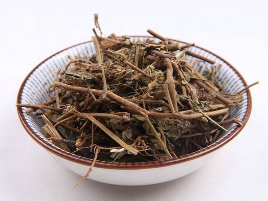 飞扬草